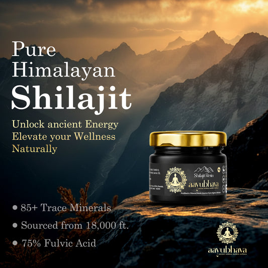 Himalyan Shilajit Resin (Hand-Processed for Maximum Potency)