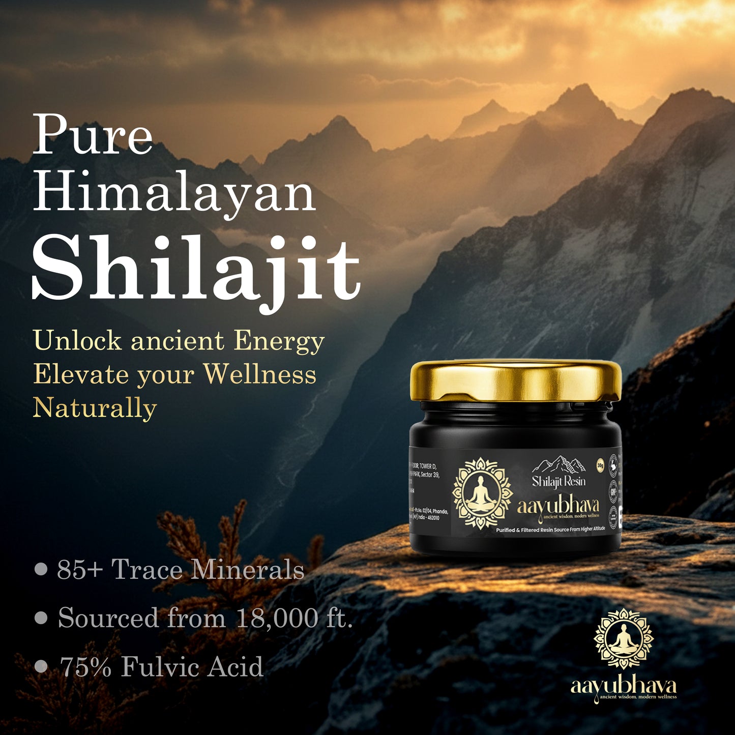 Himalyan Shilajit Resin (Hand-Processed for Maximum Potency)