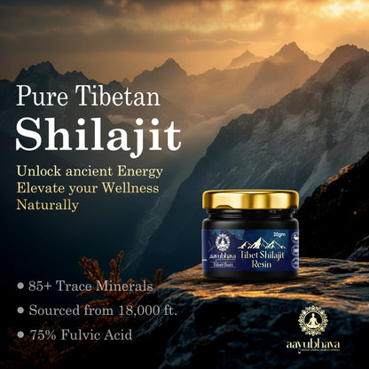 Tibet Shilajit Resin (Hand-Processed for Maximum Potency)
