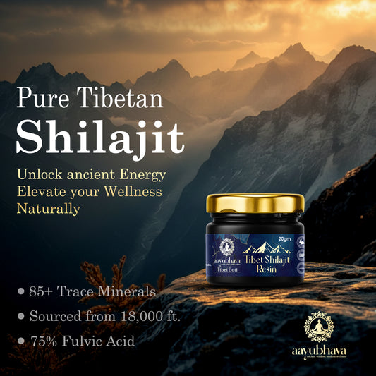 Tibet Shilajit Resin (Hand-Processed for Maximum Potency)