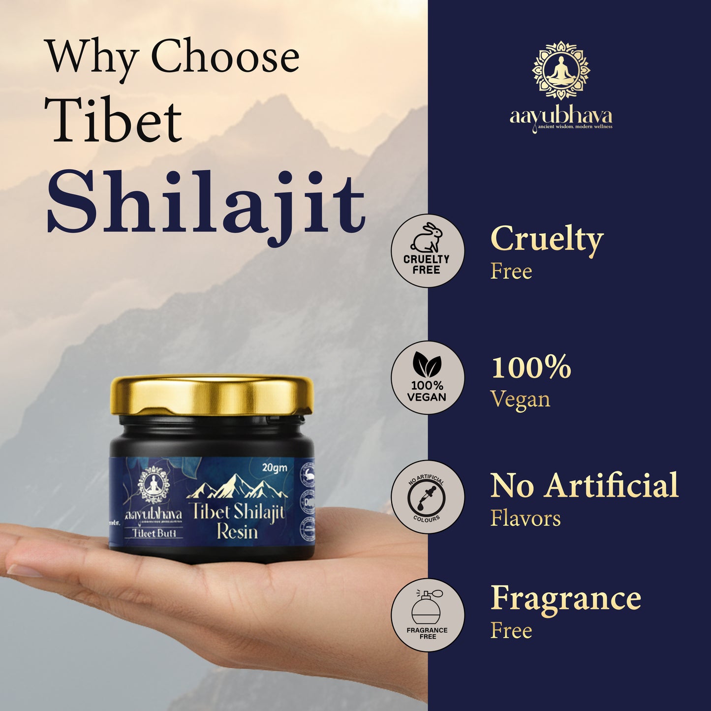 Tibet Shilajit Resin (Hand-Processed for Maximum Potency)